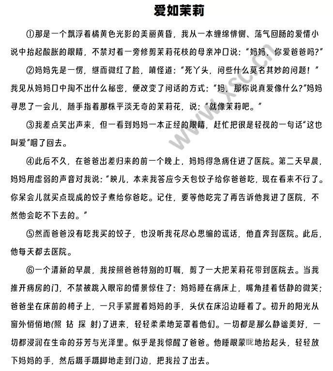 爱如茉莉1
