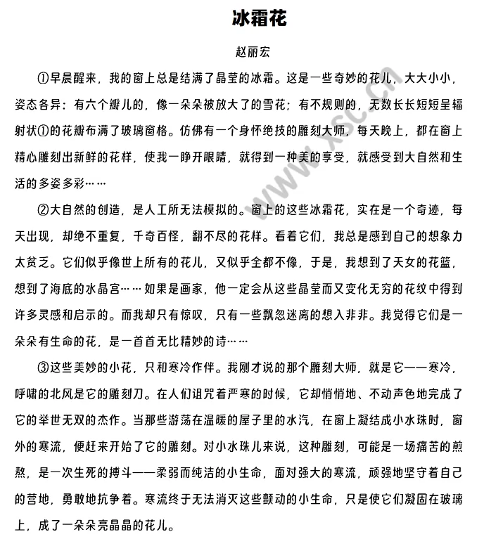 《冰霜花》