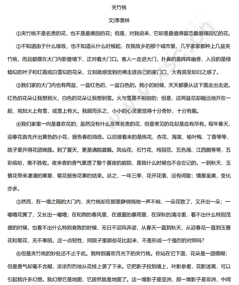 夹竹桃