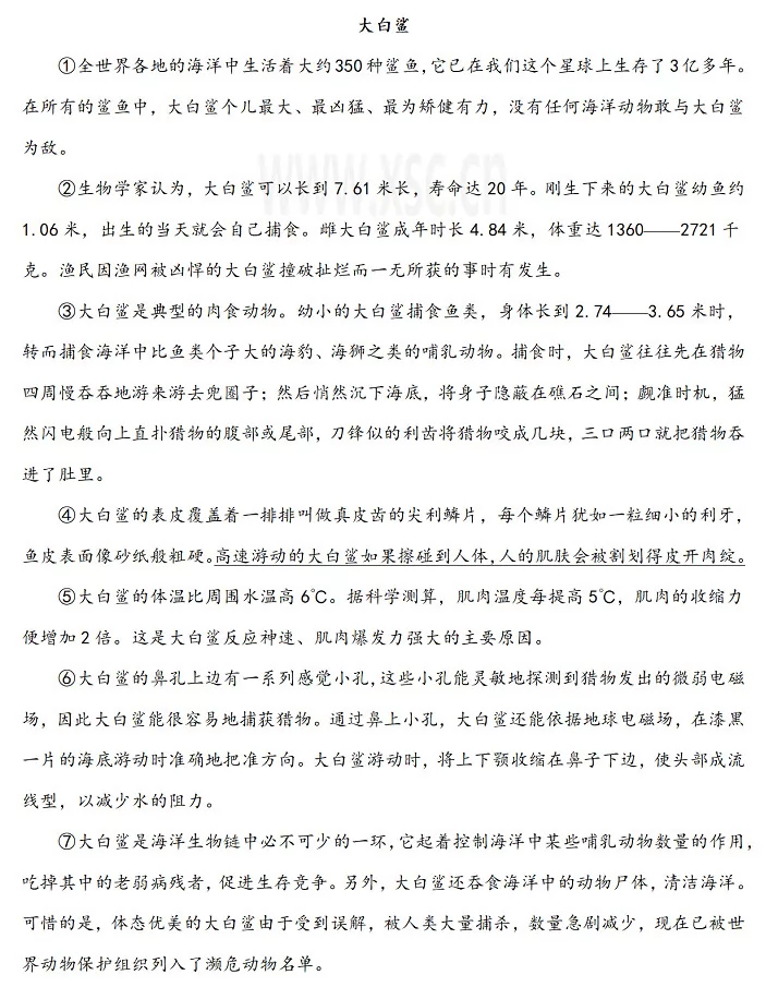 《大白鲨》