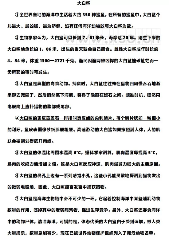 《大白鲨》原文