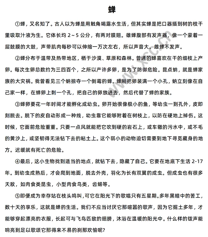 《蝉》