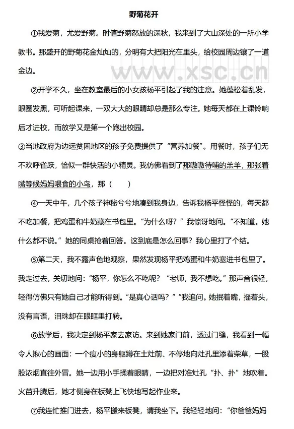 《野菊花开》