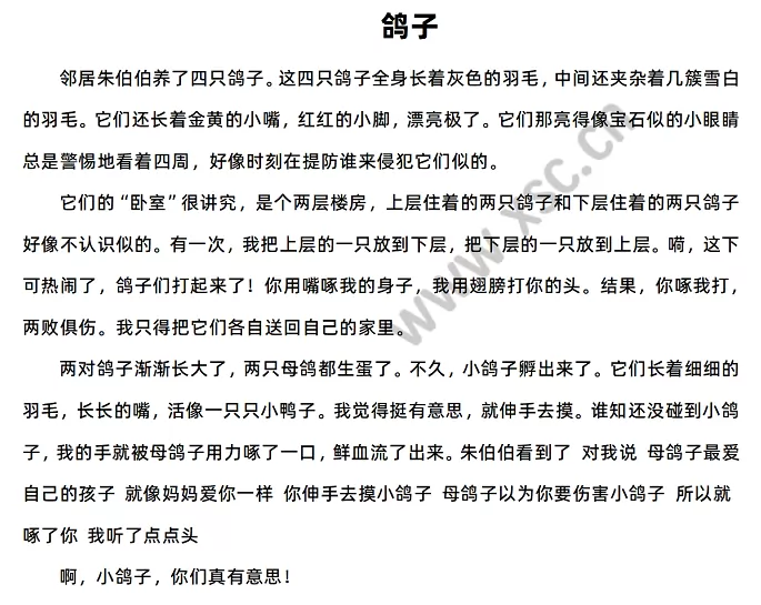 《鸽子》原文