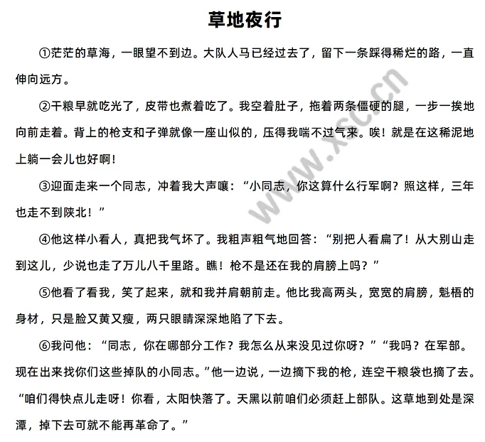 草地夜行