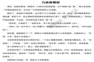 几块青稞饼阅读理解题及答案(阅读答案二)
