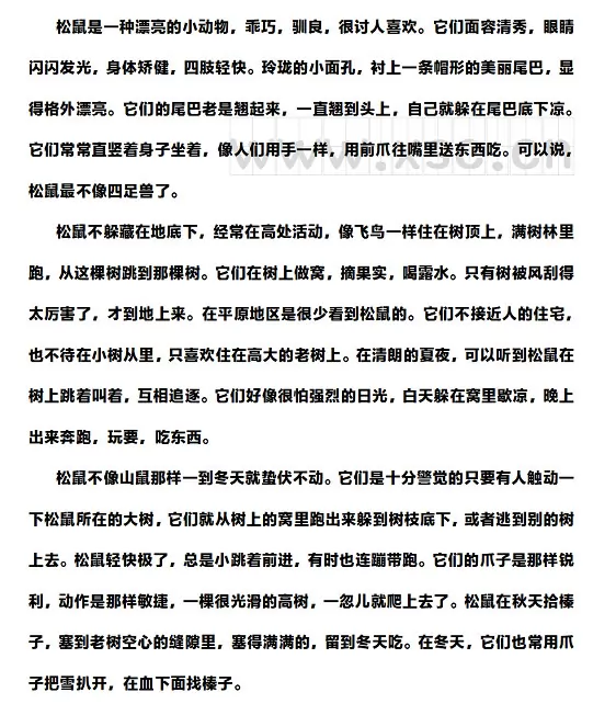 《松鼠》