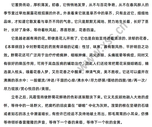 《野菊花之恋》2