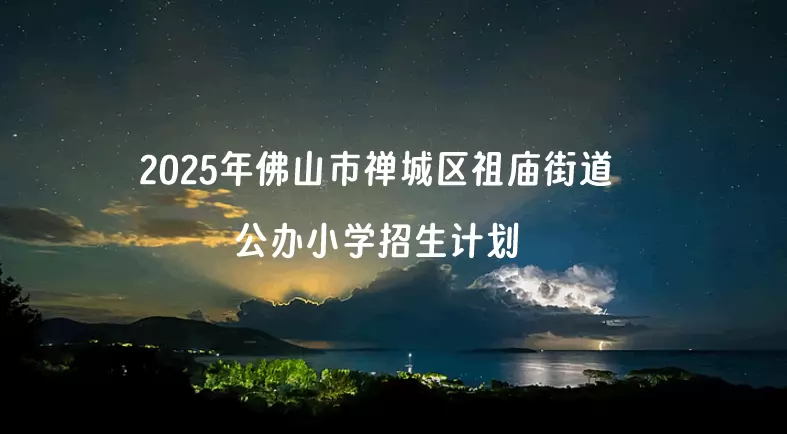2025年佛山市禅城区祖庙街道公办小学招生计划