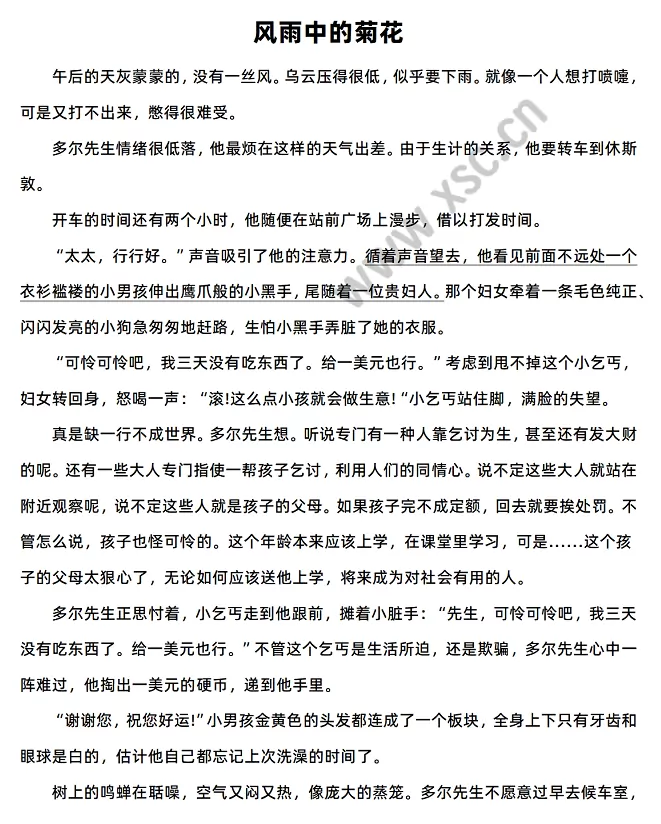 《风雨中的菊花》原文