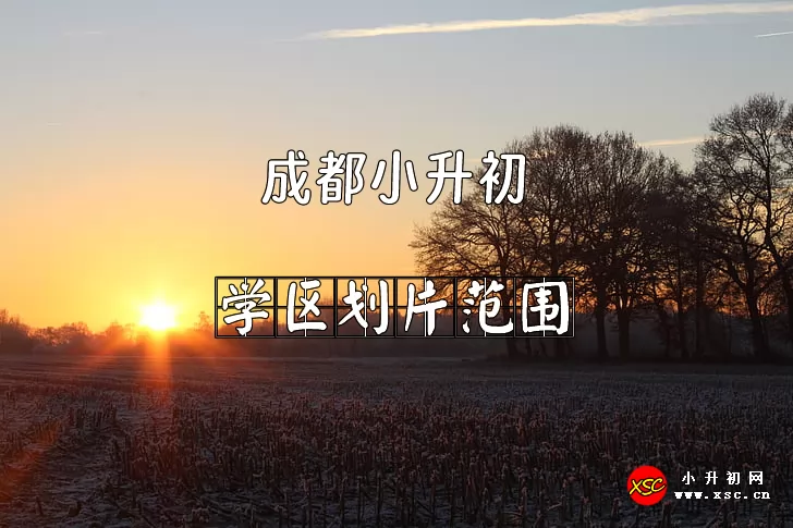 2025年成都小升初招生划片范围一览表