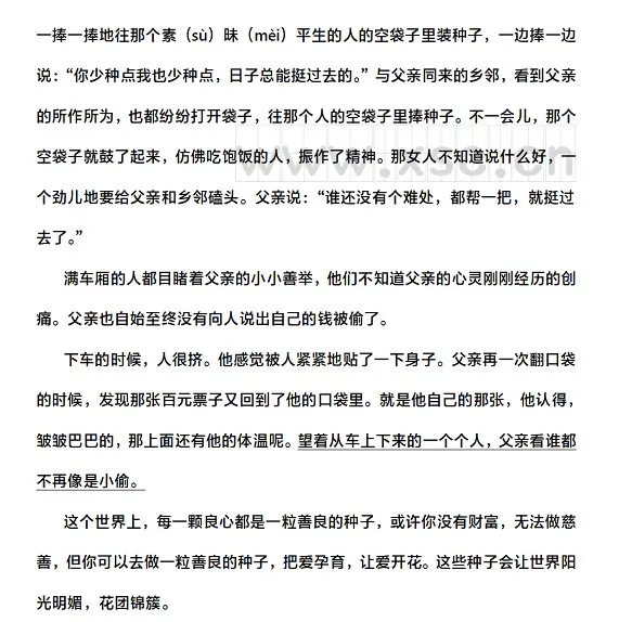 善良的种子2