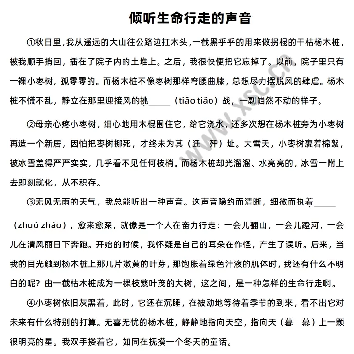 《倾听生命行走的声音》原文