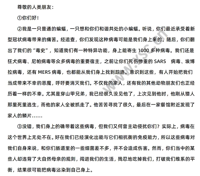 无名小蝙蝠