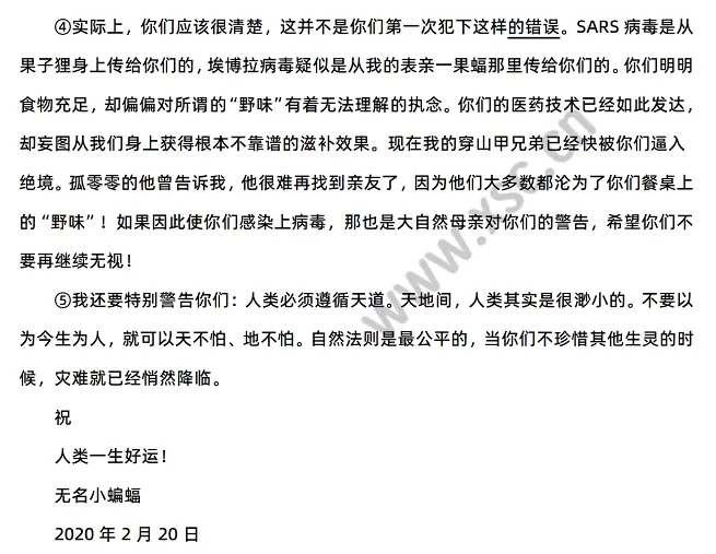 无名小蝙蝠2