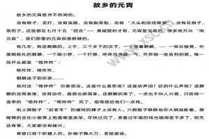故乡的元宵阅读理解题及答案(阅读答案三)