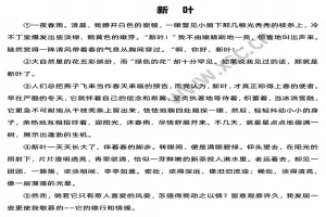 新叶阅读理解题及答案(阅读答案四)