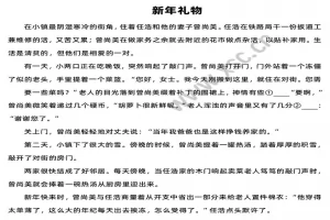 新年礼物阅读理解题及答案(阅读答案二)