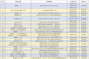 2025年武汉市青山区(化工区)小学招生网上报名时间、流程及所需材料