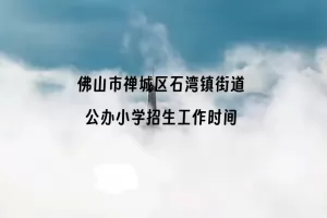 2025年佛山市禅城区石湾镇街道公办小学招生工作时间安排表