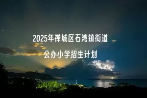 2025年禅城区石湾镇街道公办小学招生计划