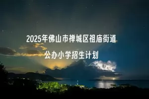 2025年佛山市禅城区祖庙街道公办小学招生计划