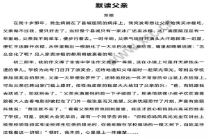 默读父亲阅读理解题及答案(阅读答案四)