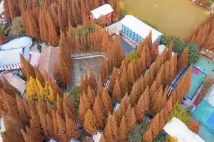 2025年都江堰市光亚学校招生简章(附报名所需材料)