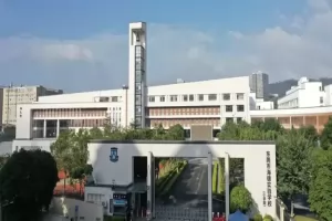 2025年秋季东莞市海德实验学校插班生招生简章