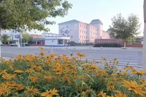 2025年鄂伦春自治旗实验小学招生简章(附学区范围+报名资料)
