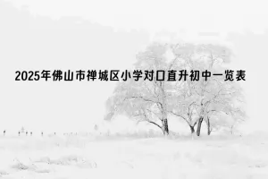 2025年佛山市禅城区小学对口直升初中一览表