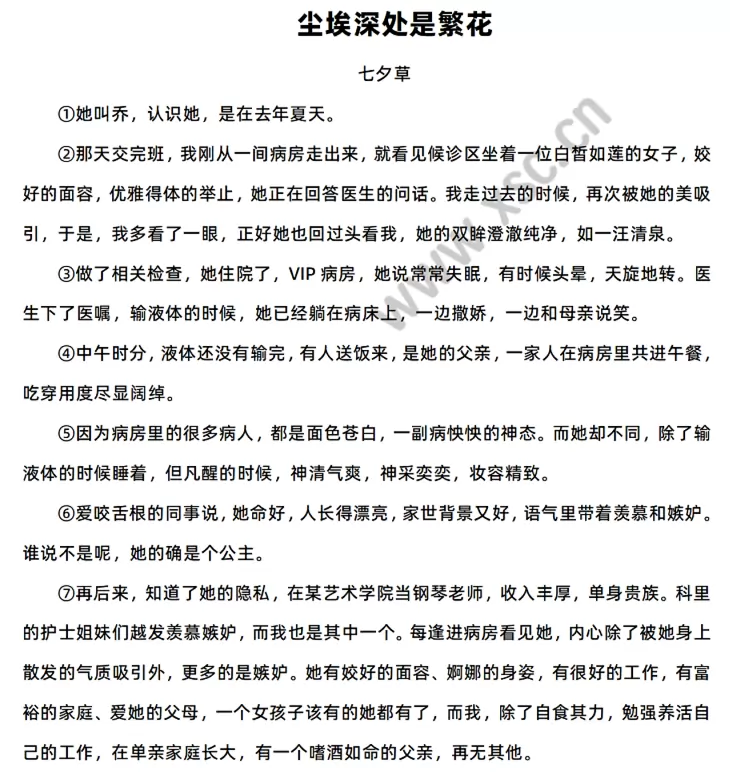 尘埃深处是繁花1