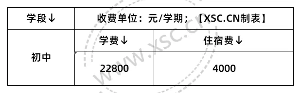 2025年上海市震旦外国语中学收费标准
