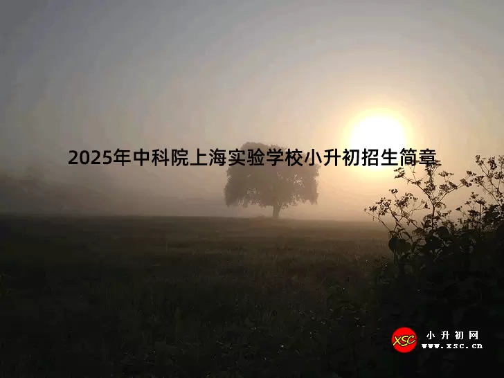2025年中科院上海实验学校小升初招生简章