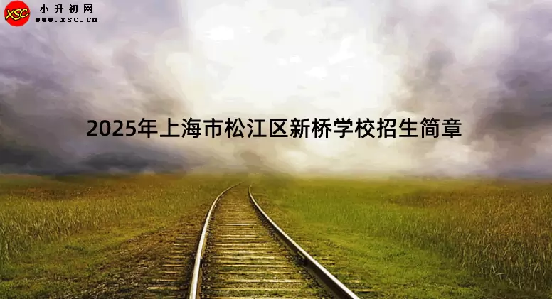 2025年上海市松江区新桥学校招生简章