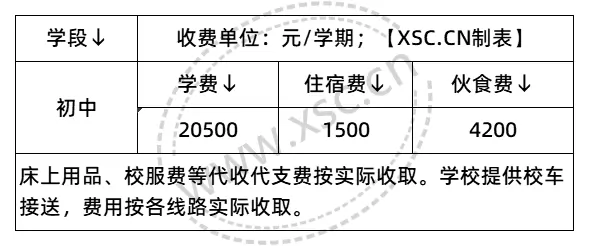 收费标准表格_2025年学校收费标准(1)