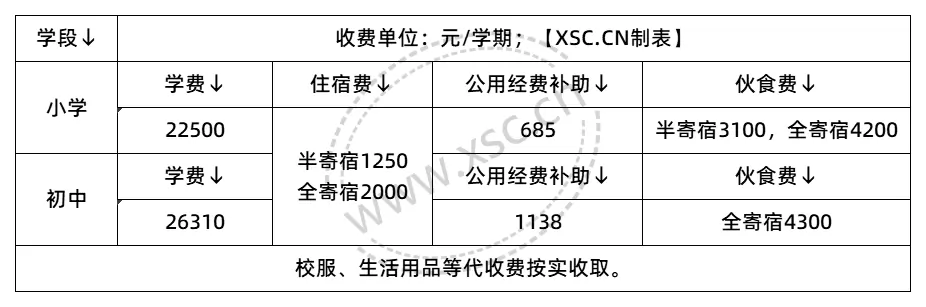 收费标准表格_2025年学校收费标准(4)