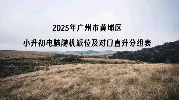 2025年广州市黄埔区小升初电脑随机派位及对口直升分组表