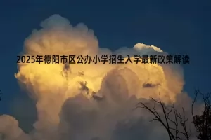 2025年德阳市区公办小学招生入学最新政策解读