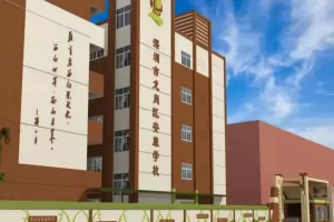 2025年深圳市龙岗区安康学校招生简章(小学+初中)