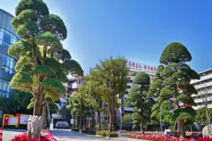 2025年佛山市顺德养正学校小升初招生简章及收费标准