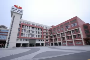 2025年佛山市顺德区拔萃实验学校招生简章及收费标准(小学+初中)