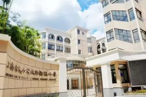 2025年上海市民办扬波外国语小学招生简章(附收费标准)