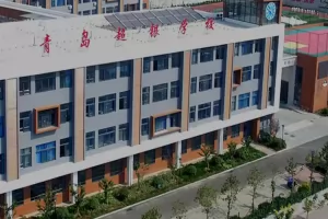 2025年青岛超银中学广饶课改校区小升初招生简章及收费标准