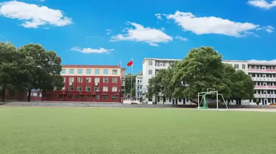 5629