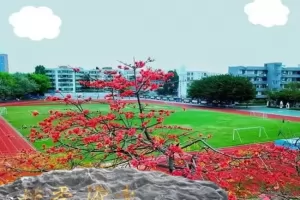 2025年广州市番禺区钟村中学小升初招生简章(附招生地段范围)