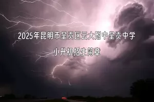 2025年昆明市呈贡区云大附中呈贡中学小升初招生简章