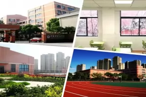 2025年上海田家炳中学小升初招生简章及收费标准