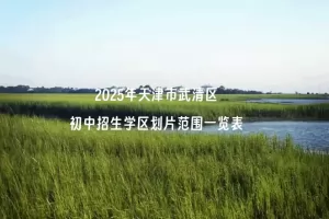2025年天津市武清区初中招生学区划片范围一览表