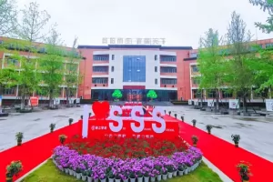 2025年成都市龙泉驿区师上学校招生简章及收费标准(小学+初中)